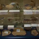I resti archeologici rinvenuti durante la costruzione della scuola sono esposti all'interno dell'istituto